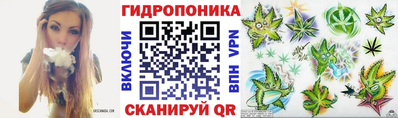 Бошки марихуана планчик  Сорск 